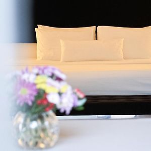 Superior King Suite